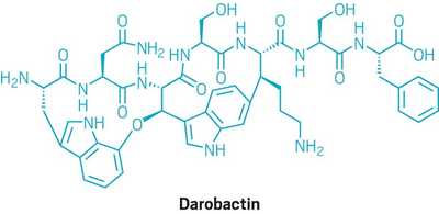 Darobactina apre la strada per una nuova classe di antibiotici contro i gram-negativi